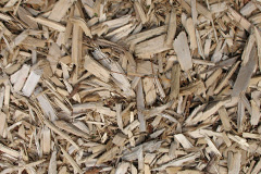 biomass boilers Maidensgrave